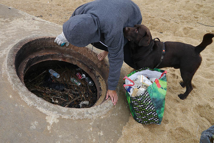 chien bunker déchets